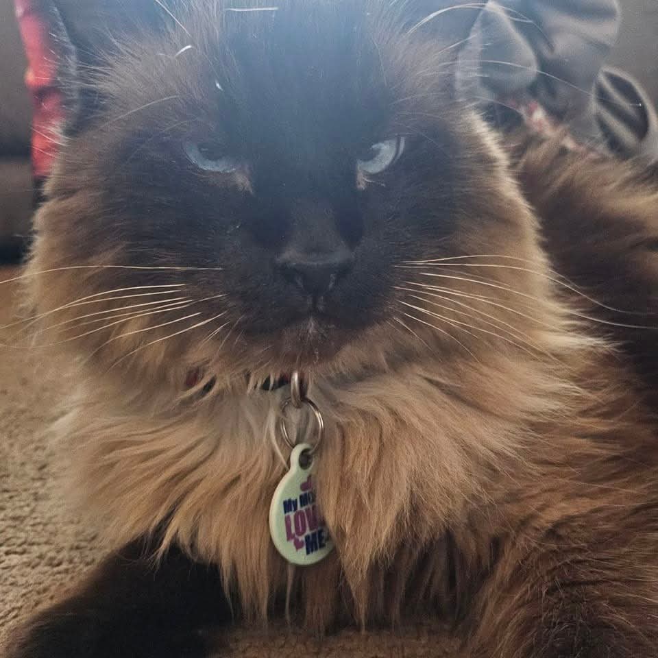 Charlie