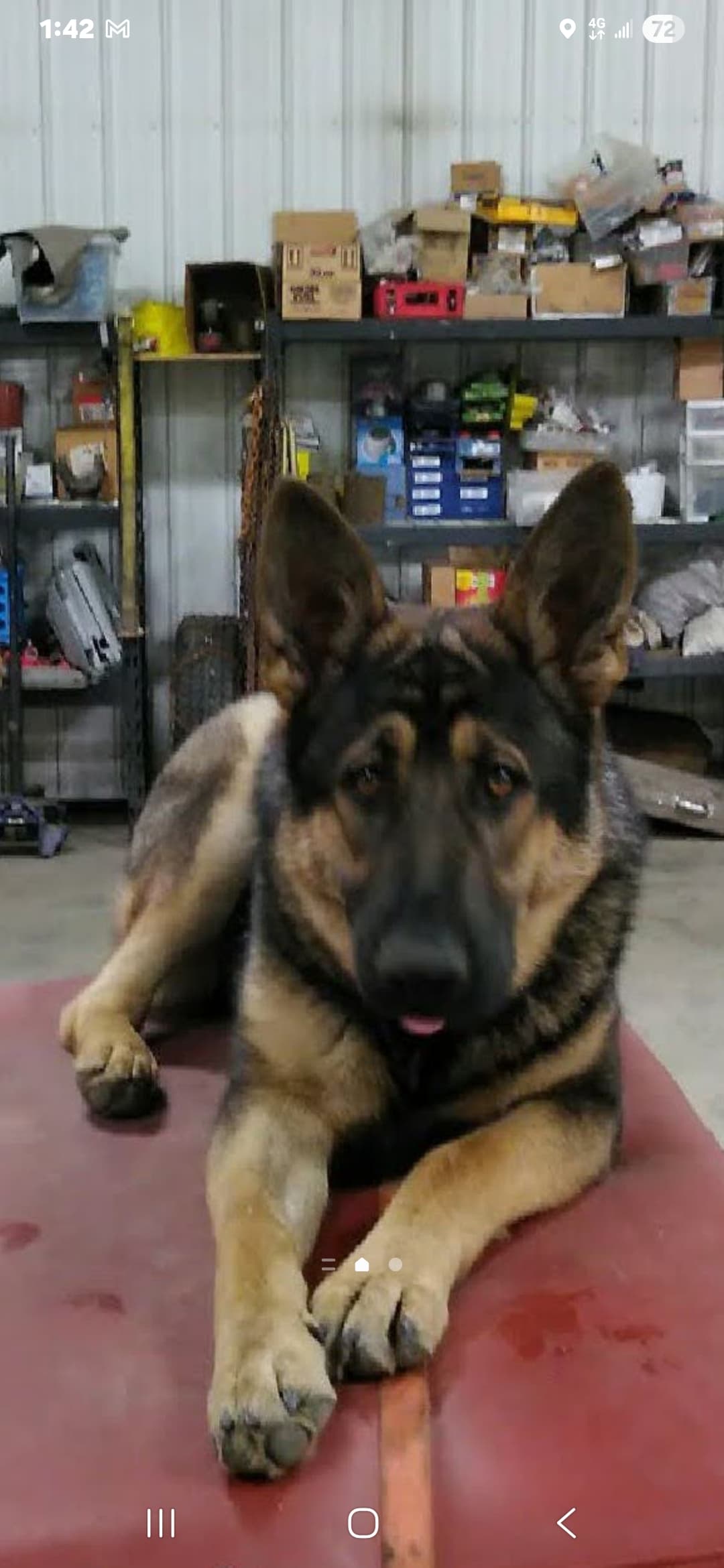 Xena