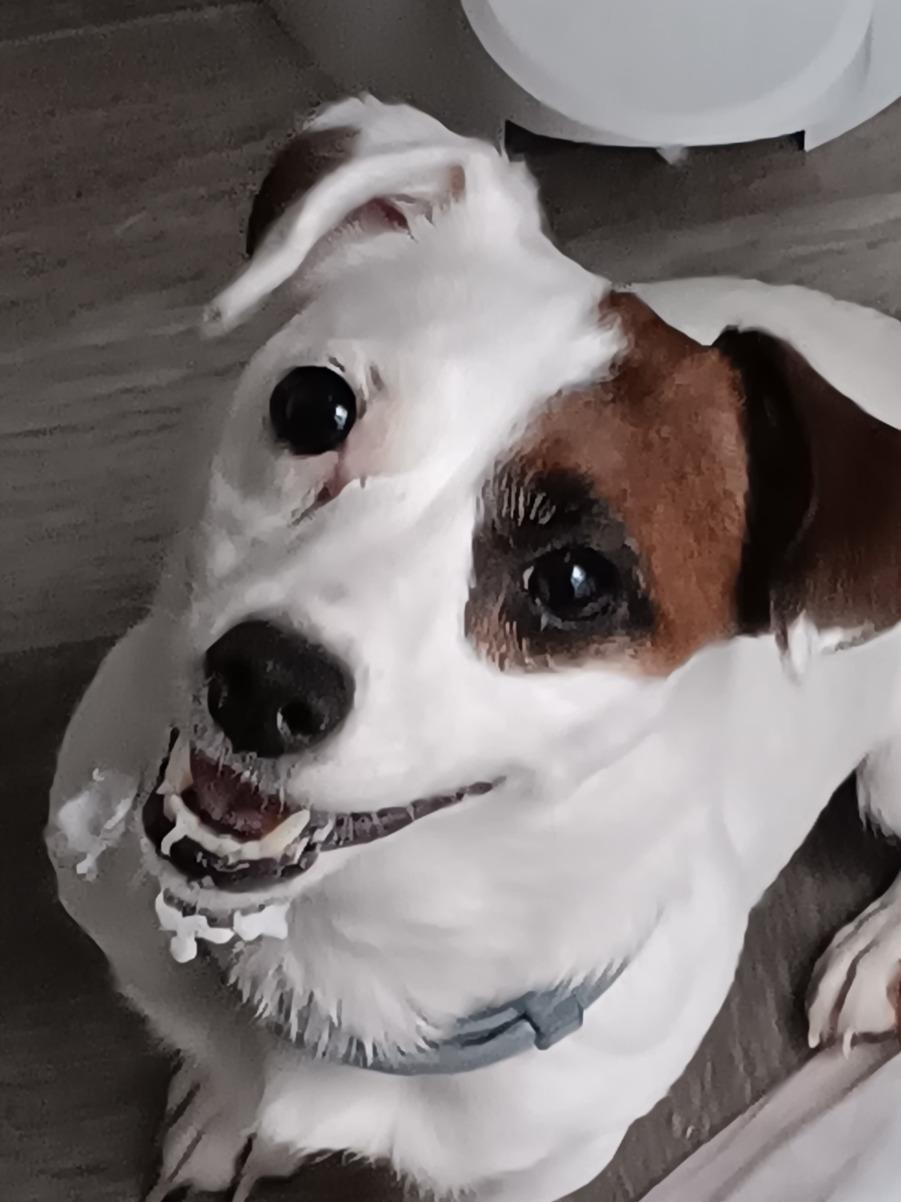 Maxie