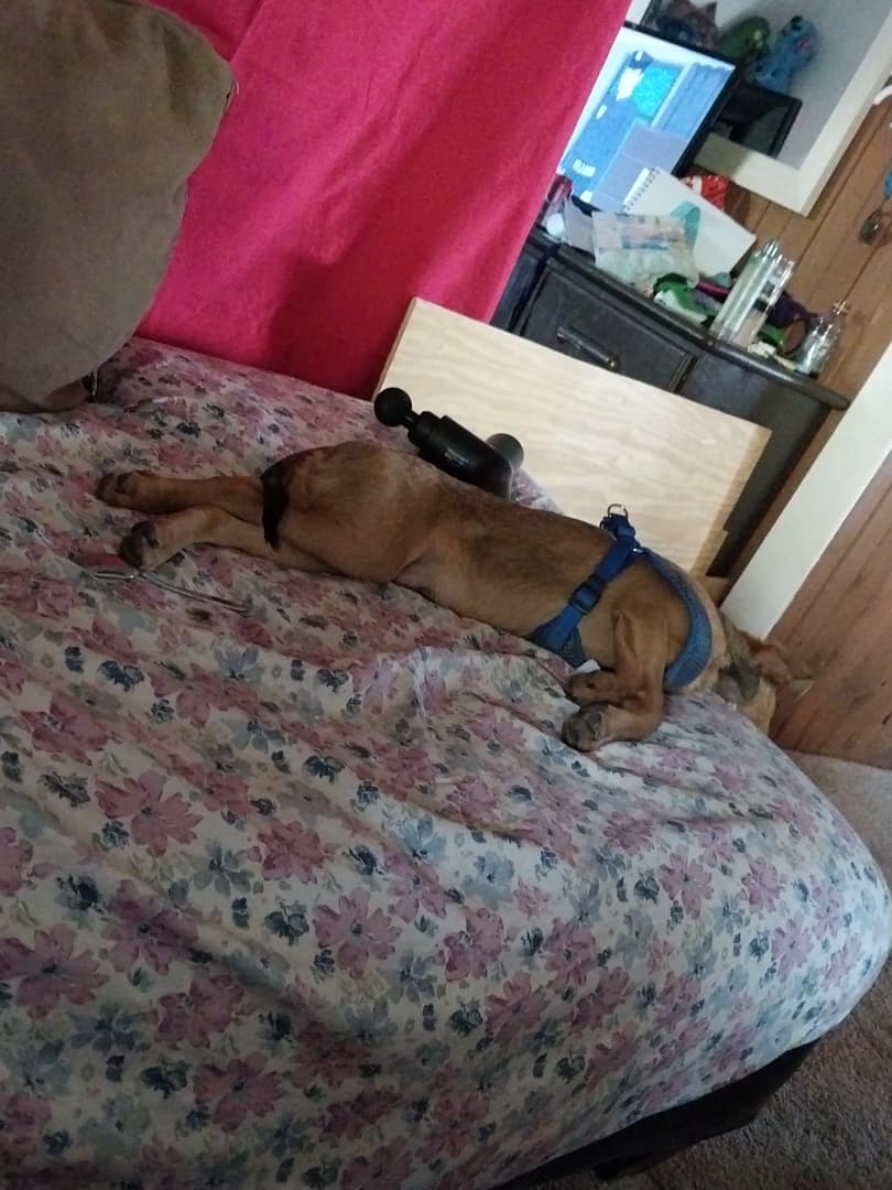 Loki