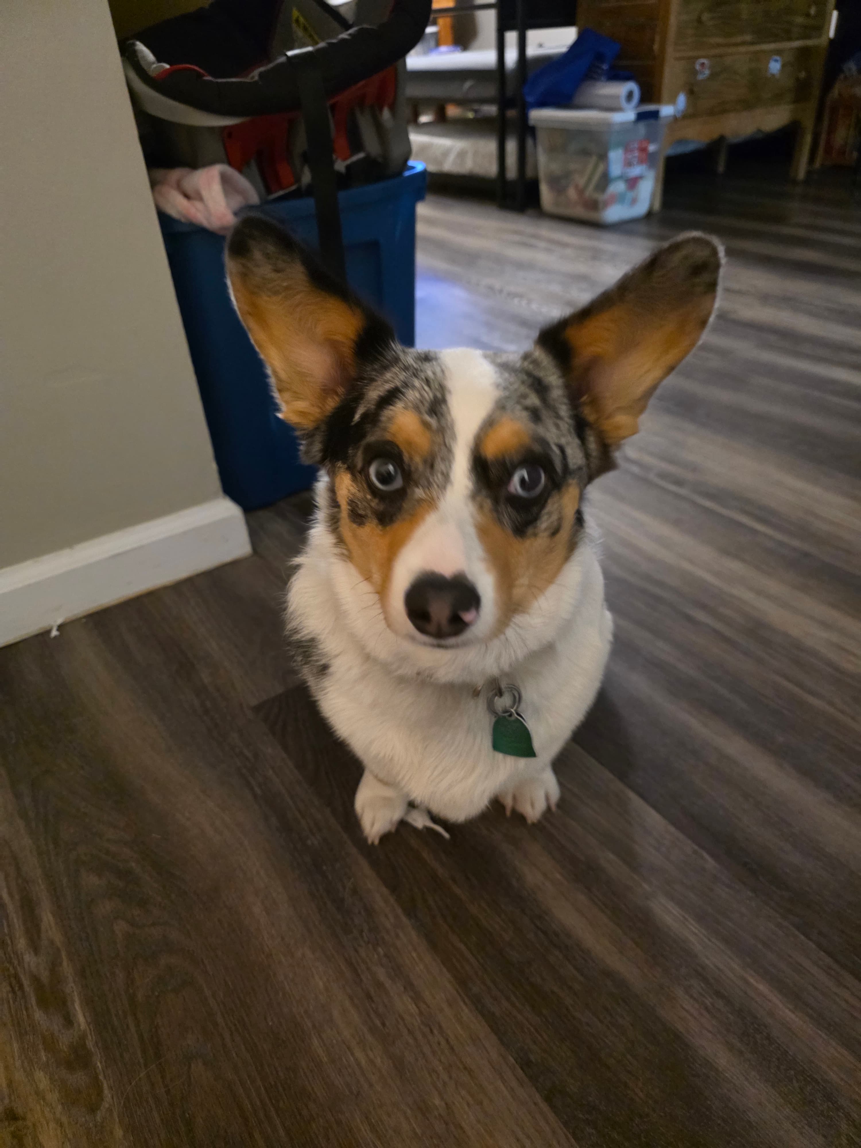 Skye