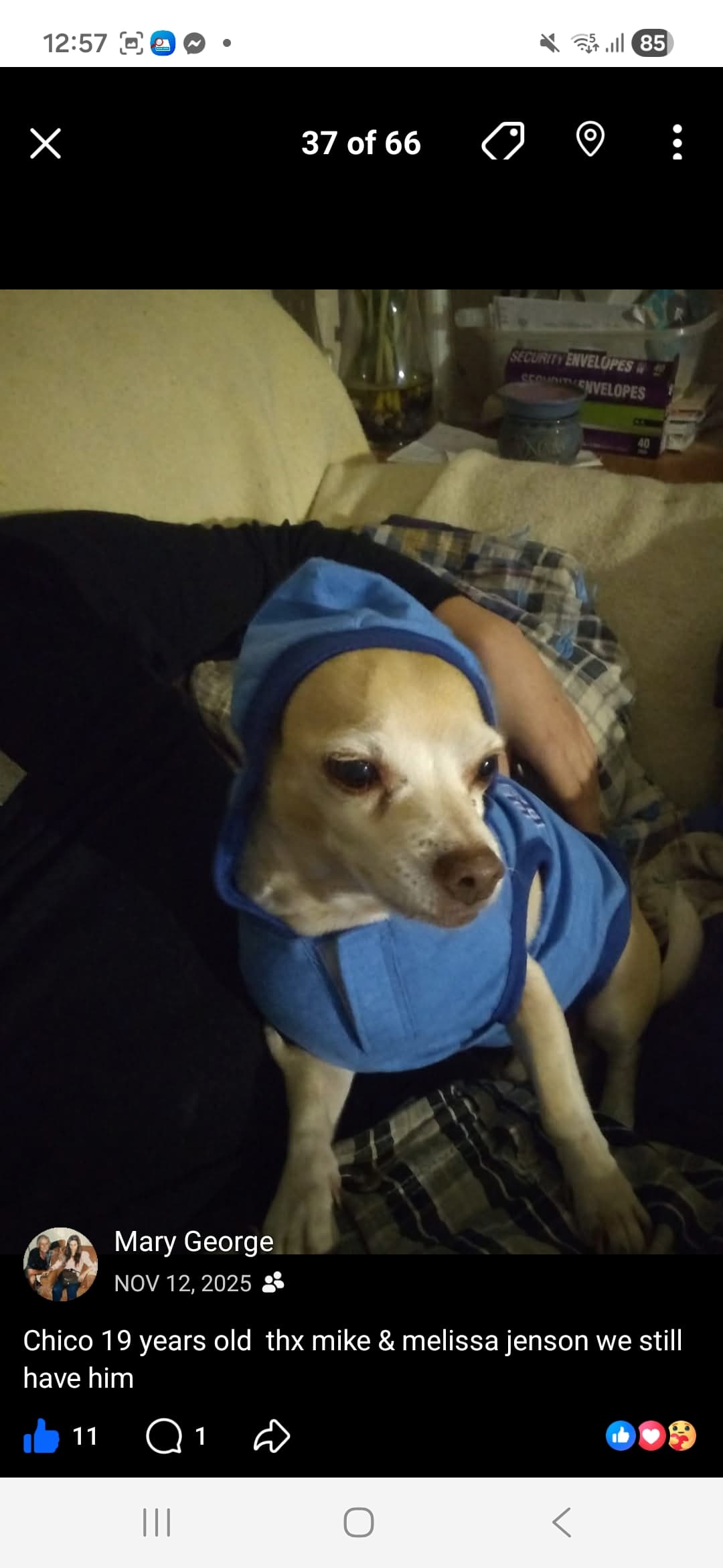 Chico
