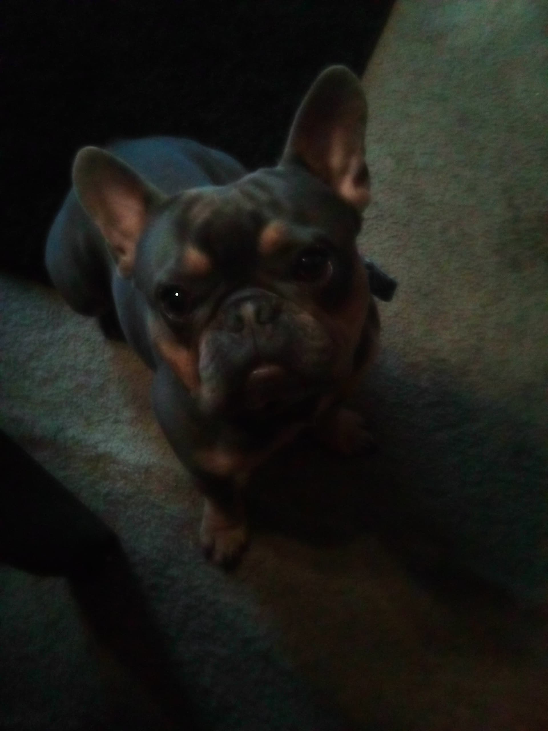 Pablo