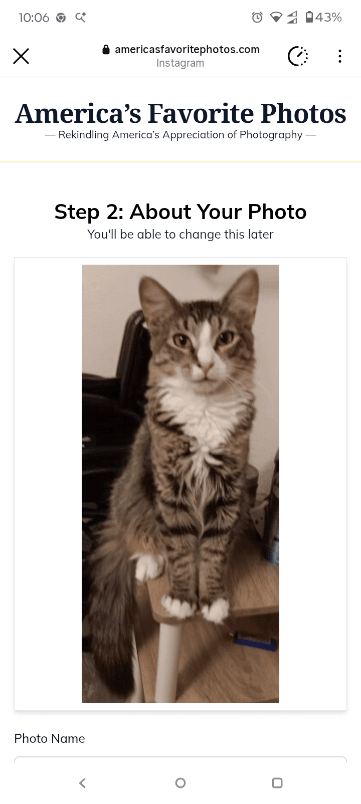 Pepper