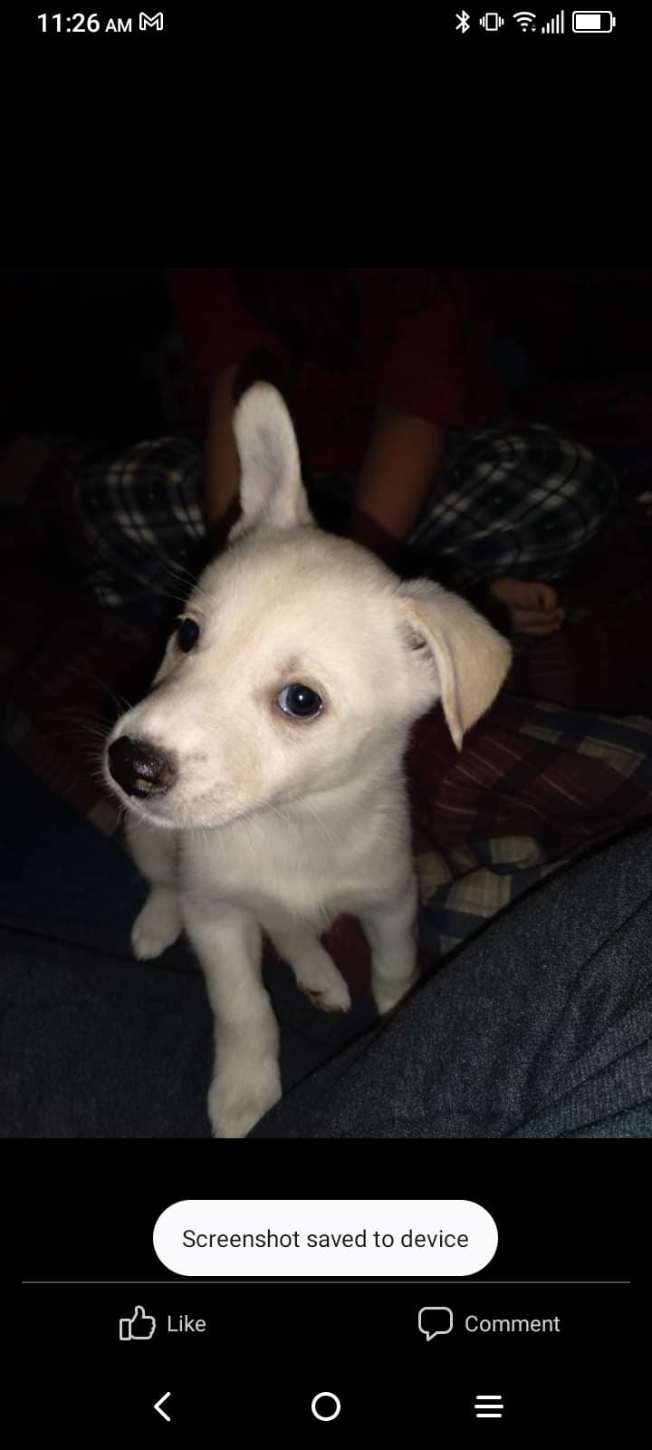 Luna
