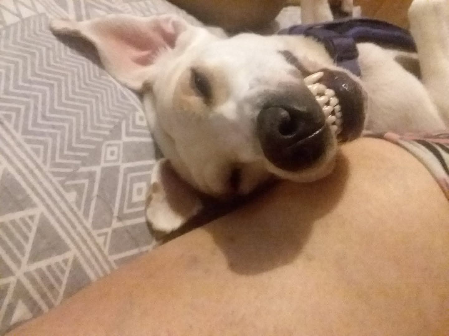 Luna
