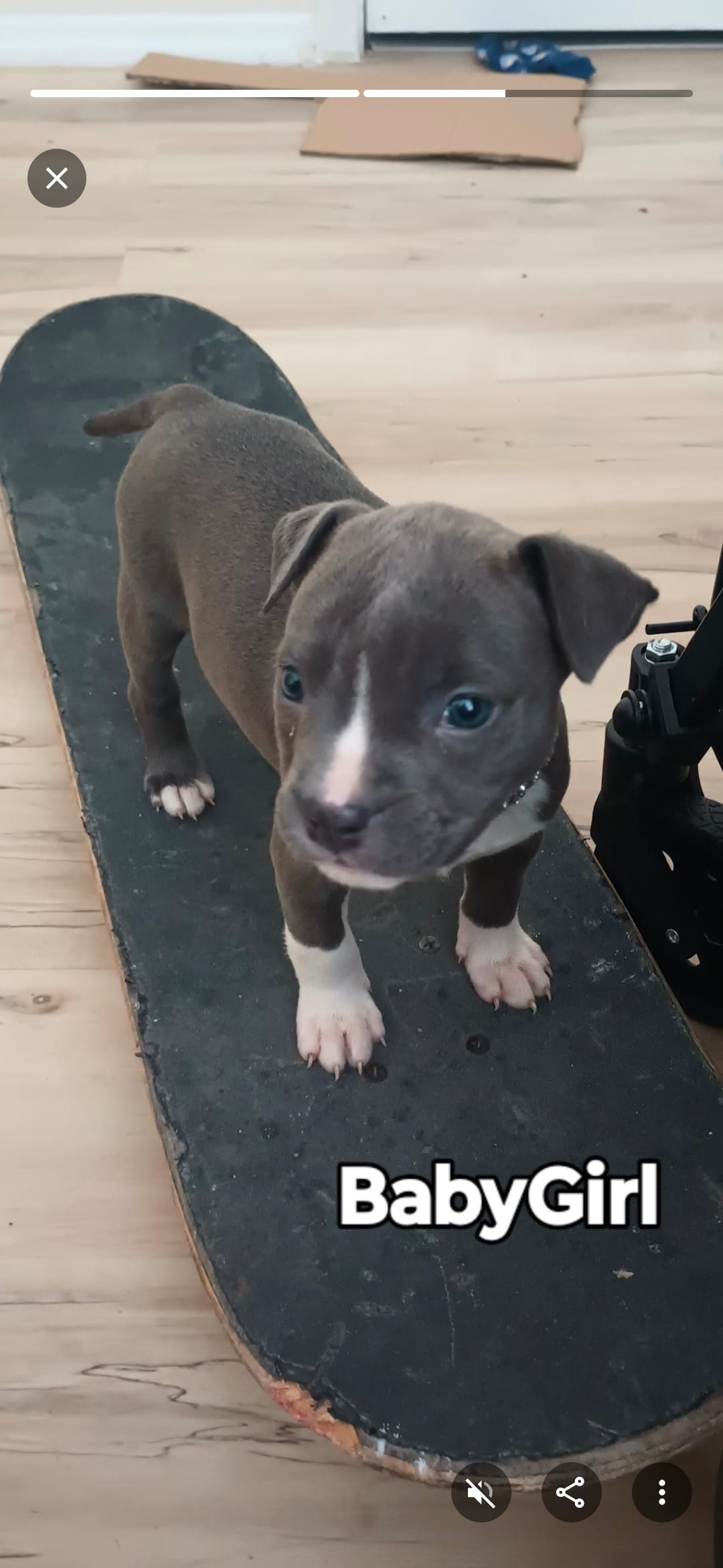 Baby Girl