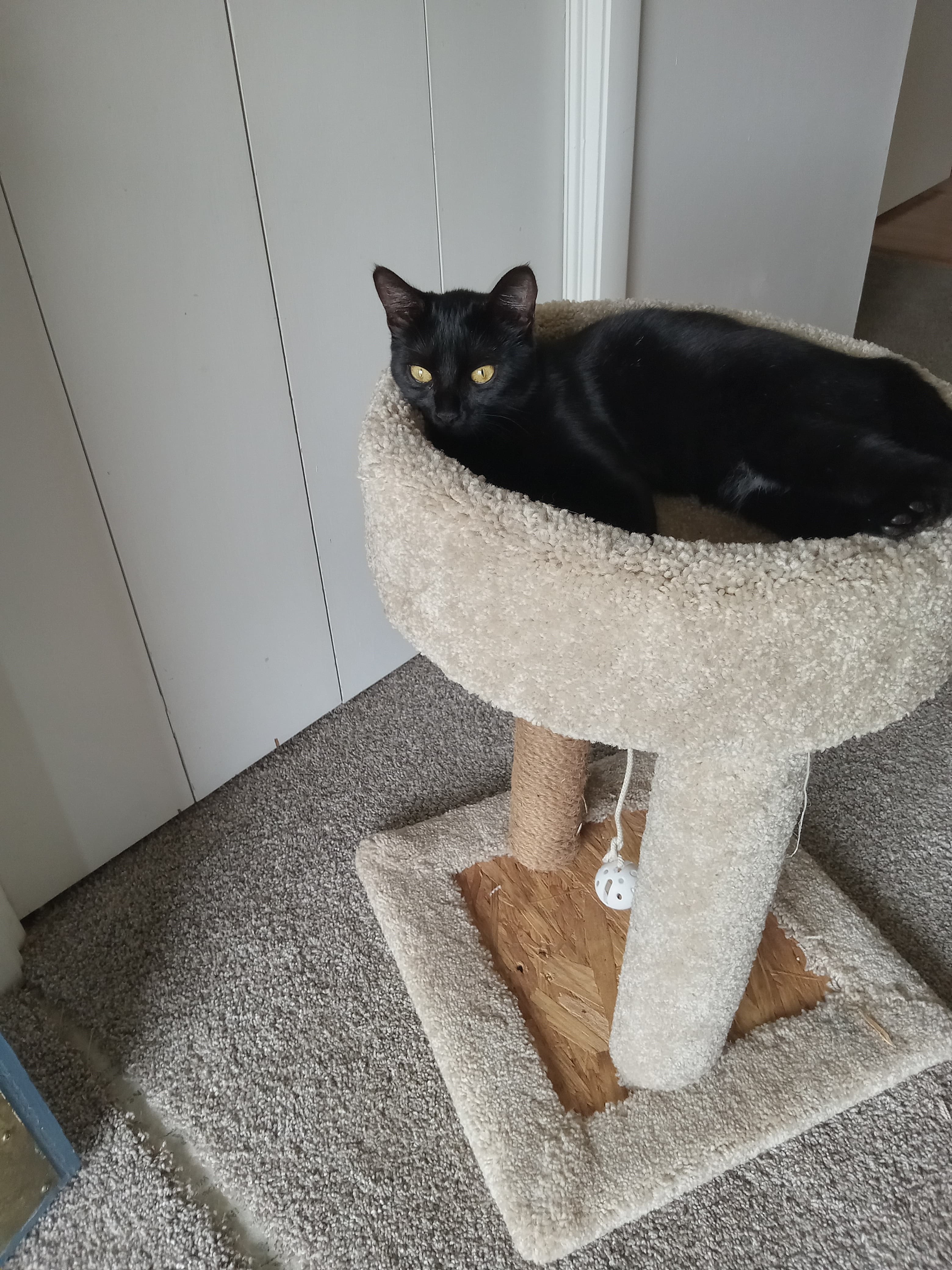 Missy